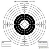 Мишень бумажная черная (50 х 50 см.)